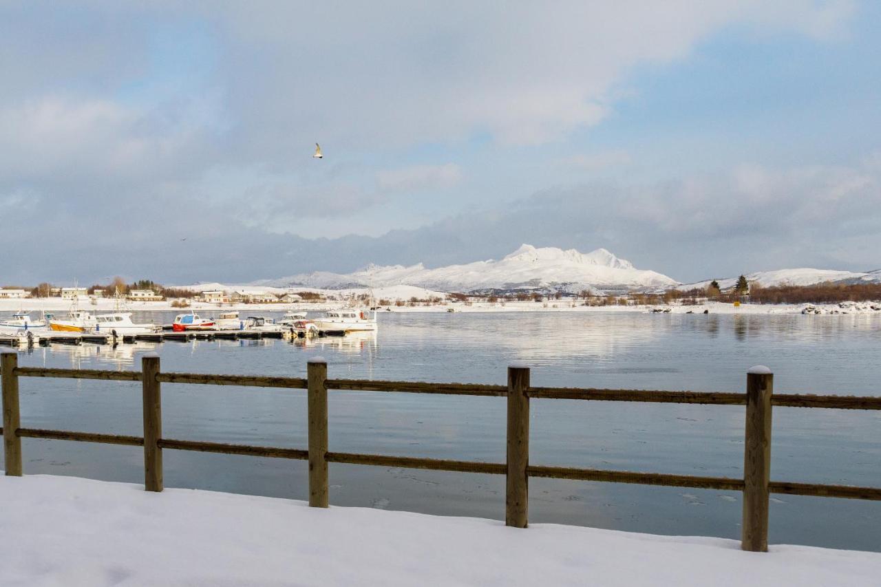Brand New Nappstraumen Seaview Cabin Villa Gravdal  Esterno foto