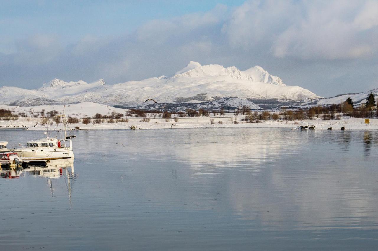 Brand New Nappstraumen Seaview Cabin Villa Gravdal  Esterno foto