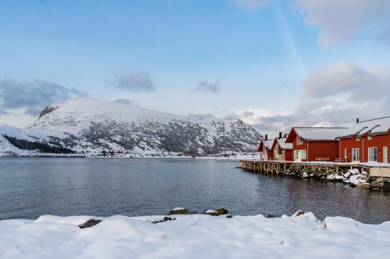 Brand New Nappstraumen Seaview Cabin Villa Gravdal  Esterno foto