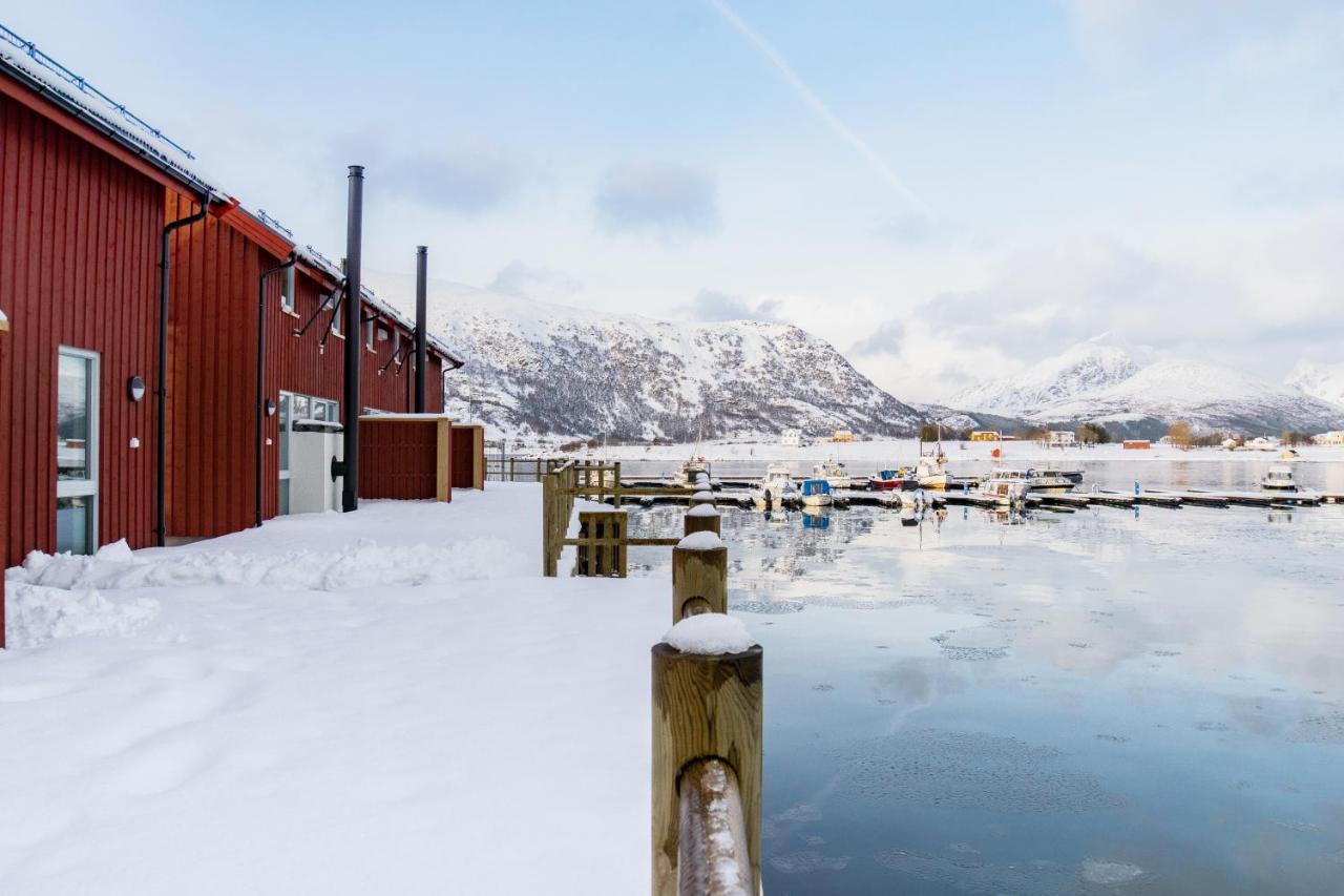 Brand New Nappstraumen Seaview Cabin Villa Gravdal  Esterno foto