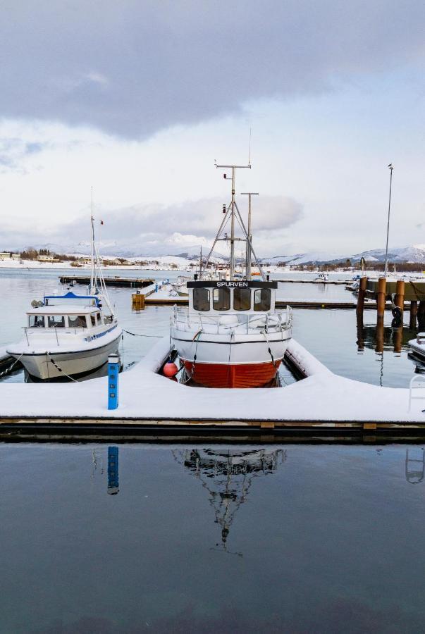 Brand New Nappstraumen Seaview Cabin Villa Gravdal  Esterno foto
