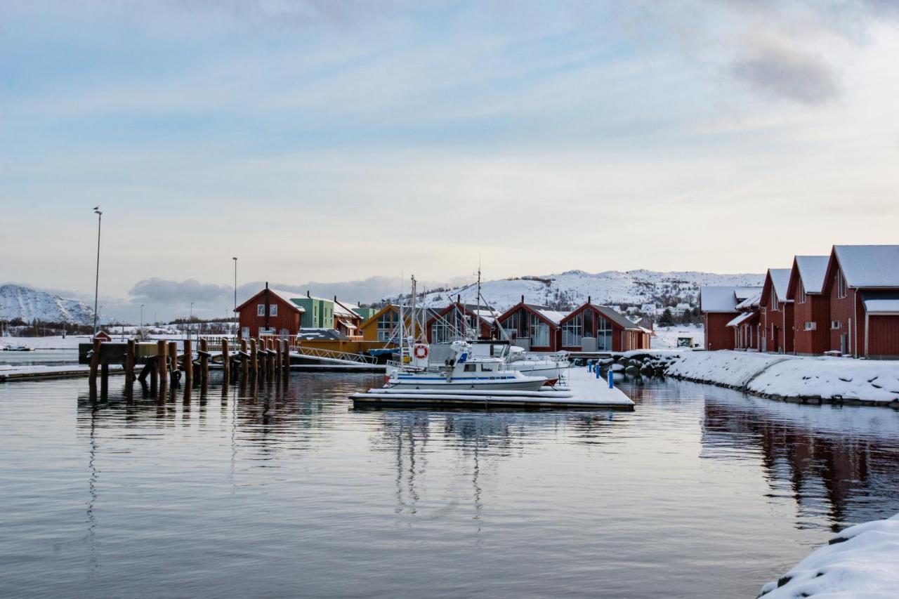 Brand New Nappstraumen Seaview Cabin Villa Gravdal  Esterno foto